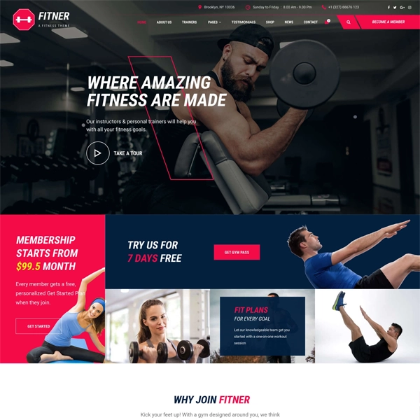 custom-website-design-1